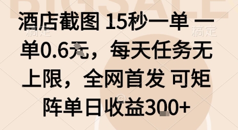 酒店截图15秒一单，一单0.6米，每天任务无上限，全网首发可矩阵单日收益3张【揭秘】-壹浩聊项目