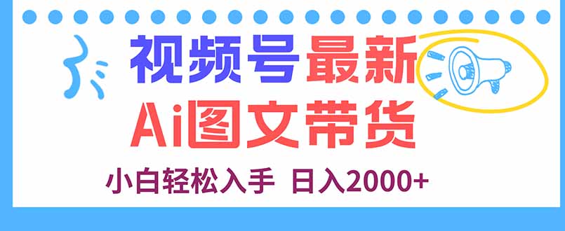 视频号最新AI图文带货，每天几分钟，小白轻松入手，日入2000+-壹浩聊项目