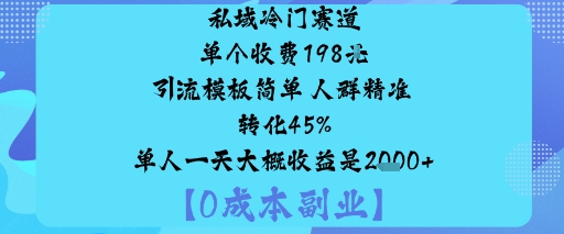 私域冷门赛道:单个收费198米引流模板简单人群精准转化45%单人一天大概收益是1k+-壹浩聊项目