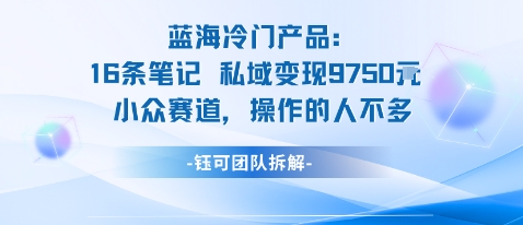 蓝海项目：16条笔记私域变现9750米小众赛道操作的人不多-壹浩聊项目