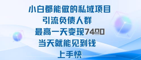 2025年小白都能做的私域项目引流负债人群最高一天变现1k+高变现难度低当天就能见到钱上手快-壹浩聊项目