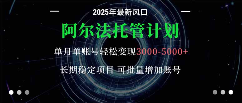 阿尔法托管计划 单账号月入3000-5000，长期稳定项目，新手小白轻松上手。-壹浩聊项目