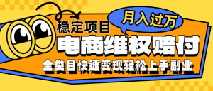 电商维权赔付全类目稳定月入过万可批量操作一部手机轻松小白-壹浩聊项目
