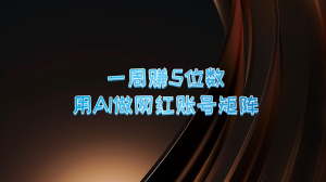 一周赚5位数,用AI做网红账号矩阵,现在的AI功能实在太强大了-壹浩聊项目
