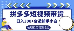 拼多多短视频带货日入300+,实操账户展示看就能学会-壹浩聊项目