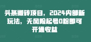头条搬砖项目,2024内部新玩法,无风险起号0粉即可开通收益-壹浩聊项目