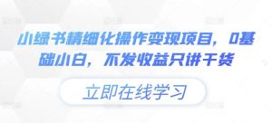 小绿书精细化操作变现项目,0基础小白,不发收益只讲干货-壹浩聊项目