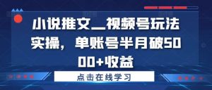小说推文—视频号玩法实操,单账号半月破5000+收益-壹浩聊项目