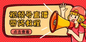 视频号直播带货教程:选品思路与话术拆解/掌握多种带货套路/提升直播效果-壹浩聊项目