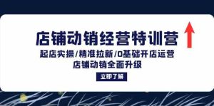 店铺动销经营特训营:起店实操/精准拉新/0基础开店运营/店铺动销全面升级-壹浩聊项目