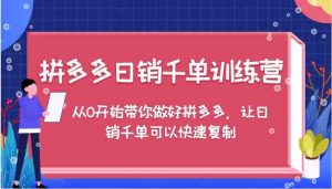 拼多多日销千单训练营,从0开始带你做好拼多多,让日销千单可以快速复制-壹浩聊项目