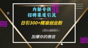 内部招聘渠道日引流300+创业粉,加爆你的微信【揭秘】-壹浩聊项目