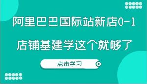阿里巴巴国际站新店0-1,个人实践实操录制从0-1基建,店铺基建学这个就够了-壹浩聊项目