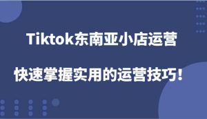 Tiktok东南亚小店运营,快速掌握实用的运营技巧!-壹浩聊项目