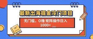 （13672期）最新出海掘金冷门项目，单号日入1000+-壹浩聊项目