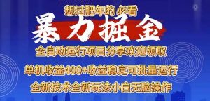 （13675期）2025暴力掘金项目，想过肥年必看！-壹浩聊项目