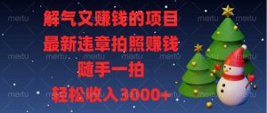 （13686期）解气又赚钱的项目，最新违章拍照赚钱，随手一拍，轻松收入3000+-壹浩聊项目