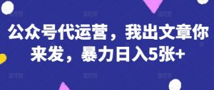 公众号代运营,我出文章你来发,暴力日入5张+【揭秘】-壹浩聊项目