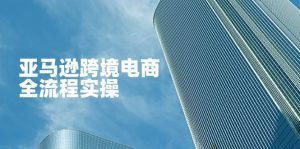 亚马逊跨境电商全流程实操，教你从零开始，掌握店铺运营与广告技巧-壹浩聊项目