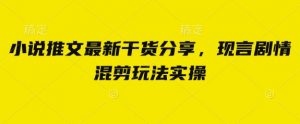 小说推文最新干货分享，现言剧情混剪玩法实操-壹浩聊项目