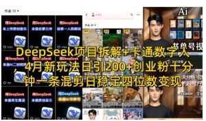 DeepSeek项目拆解+卡通数字人,4月新玩法日引200+创业粉十分钟一条混剪日稳定四位数变现-壹浩聊项目