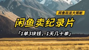 闲鱼卖纪录片1单3块钱，1天几十单，项目稳定有潜力-壹浩聊项目