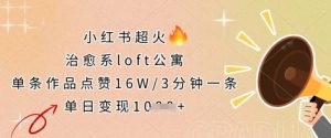 小红书超火的治愈系loft公寓，单条作品点赞16W，3分钟一条，单日变现数张-壹浩聊项目