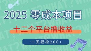 2025年零成本项目，十二个平台撸收益，单号一天轻松200+-壹浩聊项目