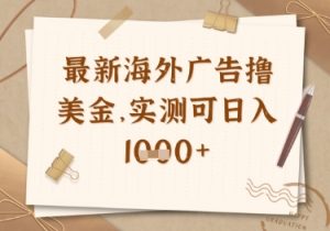 最新海外广告联盟挂机撸美金项目，实测可日入多张【揭秘】-壹浩聊项目