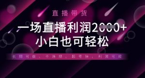 半无人直播带货，一场利润数张，适合所有平台玩法，小白也可轻松-壹浩聊项目