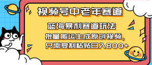 2025视频号中老年短视频蓝海暴利风口!复制粘贴搬运视频单日赚800+,无…-壹浩聊项目