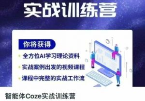 智能体Coze实战训练营,掌握新时代效率工具,让你人生即刻开挂-壹浩聊项目