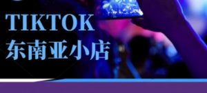 Tiktok东南亚跨境小店运营班,一门专业的TK小店运营培训课-壹浩聊项目
