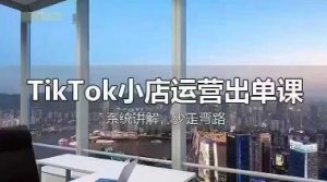 TikTok小店运营出单课,从开店选品、运营出单、发货回款,进行全流程讲解-壹浩聊项目