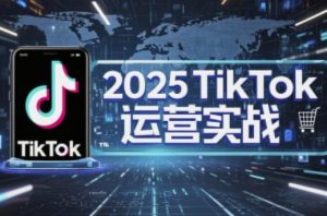 2025TikTok电商运营,掌握TikTok店铺运营核心技巧,实现低成本高转化-壹浩聊项目
