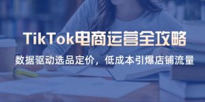 TikTok电商运营全攻略，数据驱动选品定价，低成本引爆店铺流量-壹浩聊项目