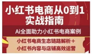 2025小红书电商全链路运营，Ai全面助力小红书电商案例-壹浩聊项目