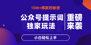 公众号提示词玩法，10W+爆文最简单快速的方法，小白轻松上手-壹浩聊项目