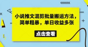 小说推文混剪批量搬运方法，简单粗暴，单日收益多张-壹浩聊项目