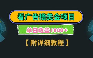 Google谷歌看广告撸美金，3分钟到账2.5美元，自撸拉新收益无上限，轻松日入1k+-壹浩聊项目