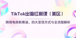 TikTok出海红利课(美区-壹浩聊项目
