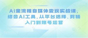 Ai全流程自媒体变现实战课,结合AI工具,从平台选择、剪辑入门到账号运营-壹浩聊项目