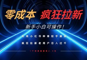 利用小红书种草知乎漏洞，零成本疯狂拉新日入数张，新手小白可操作-壹浩聊项目