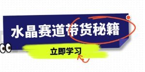 水晶赛道带货秘籍,国学结合、短视频起号、拍摄技巧、直播话术等内容-壹浩聊项目