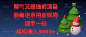 解气又挣钱的项目，最新违章拍照挣钱，随手一拍，轻松收入多张【揭秘】-壹浩聊项目