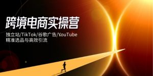 跨境电商实操营:独立站/TikTok/谷歌广告/YouTube,精准选品与高效引流-壹浩聊项目