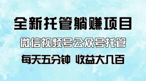 全新托管躺赚项目,微信视频号公众号托管代运营,每天五分钟,收益大几百-壹浩聊项目