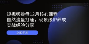 短视频操盘12月核心课程:自然流量打通,现象级IP养成,实战经验分享-壹浩聊项目