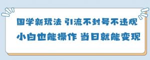 国学新玩法，引流不封号不违规小白也能操作，当日就能变现-壹浩聊项目