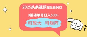 2025头条视频掘金新风口：0基础日入300+，可放大，可矩阵-壹浩聊项目